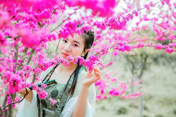 武汉教师因喝茶引发热议，养生之道引关注